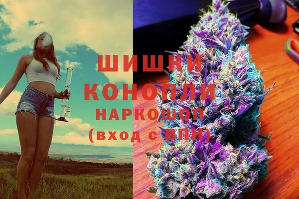 винт Алзамай